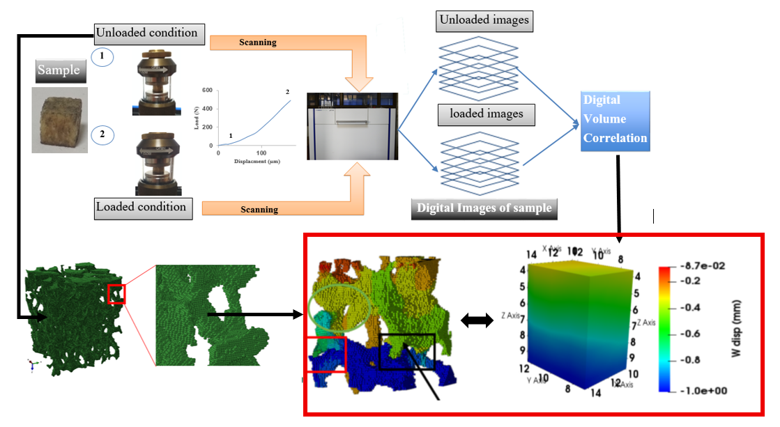 Micro-CT and finite element workflow for porous material
